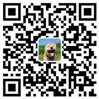 巅峰国际网站(中国游)官网